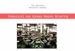 Industrial gas global market briefing report 2016 sample