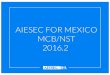 AIESEC for México National Support Team