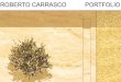 Roberto Carrasco portfolio selections