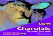 2016 Allflex National Charolais Sale Catalogue
