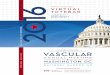 2016 Vascular Annual Meeting Virtual Tote Bag