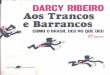 Aos Trancos e Barrancos - como o Brasil deu no que deu - Darcy Ribeiro