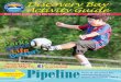 Discovery Bay Activity Guide & Pipeline Summer 2016