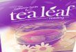 Tea Leaf Reading Symbols