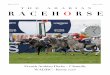 The Arabian Racehorse Issue 15