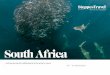 Steppes Travel | South Africa Ocean Wildlife Experience with Monty Halls