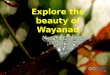 A thrilling trip to wayand with your family!