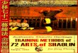 Jin Jing Zhong. Authentic Shaolin Heritage: Training Methods of 72 