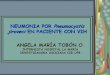 Pneumocistis jiroveci: Actualización