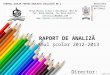 RAPORT DE ANALIZĂ - Anul şcolar 2012-2013