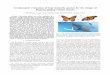 Aerodynamic evaluation of four butterfly species for the design of 