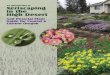 An Introduction to Xeriscaping in the High Desert