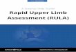 Rapid Upper Limb Assessment (RULA) - Ergonomics Plus