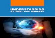Understanding Natural Gas Markets