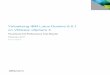 Virtualizing IBM Lotus Domino 8.5.1 on VMware vSphere 4 - White 