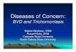 Diseases of concern: BVD and Trichomoniasis