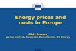 Energy prices and costs in Europe
