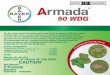 Armada 50 WDG Label