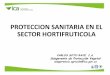 Protección Sanitaria en el Sector Hortifrutícola
