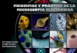 Libro de Microscopía Electrónica