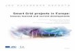 Smart Grid projects in Europe: lessons learned