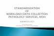 guideline on standardisation of workload data collection
