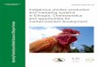 Indigenous chicken production and marketing systems in Ethiopia 