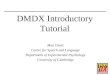 Matt Davis's DMDX Tutorial