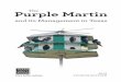 The Purple Martin and its Management in Texas