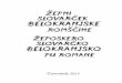 Žepni slovarček belokranjske romščine