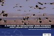 A Review of Migratory Bird Flyways and Priorities for Management