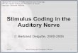 Stimulus Coding in the Auditory Nerve