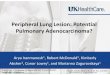Peripheral Lung Lesion: Potential Pulmonary Adenocarcinoma?