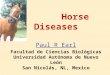 Horse Diseases