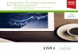 Finance Fundamentals for Executives (FFE)