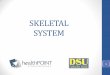 The Skeletal System - HealthPOINT