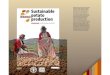 Sustainable potato production