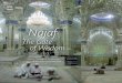 Najaf, the Gate of wisdom; 2014