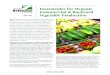 Insecticides for Organic Commercial & Backyard Vegetable Production