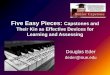 Five Easy Pieces: Capstones and their Kin as Practical Devices for 