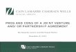 Pros and Cons of a Joint Venture and/or Partnership Agreement 