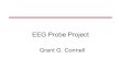 EEG Probe Project