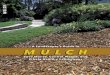 A Landscaper's Guide to Mulch: Save Money, Control Weeds, and 