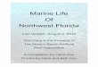 Marine Life Of Northwest Florida