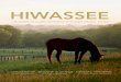 Hiwassee Magazine