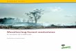 Monitoring forest emissions: a review of methods
