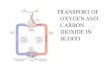 TRANSPORT OF OXYGEN AND CARBON DIOXIDE IN BLOOD