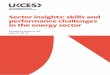 Sector insights: skills and performance challenges in the energy sector