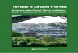 Torbay's Urban Forest
