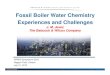 Fossil Boiler Water Chemistry Experiences and Challenges